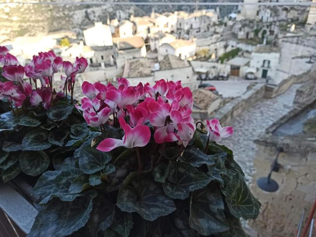 Dormire a Matera - Dimore Storiche nei Sassi di Matera - Immagine 3